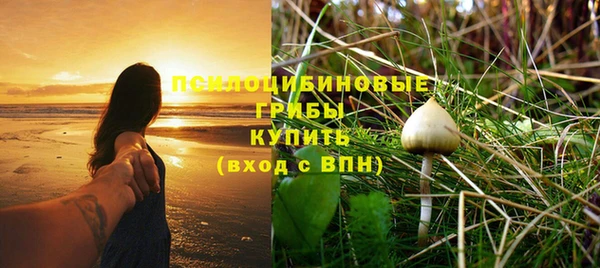 прущая мука Алзамай